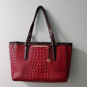 Red and brown Brahmin